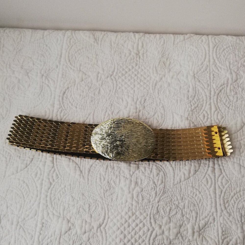 Vintage Gold Metal Scale Stretch Belt - L